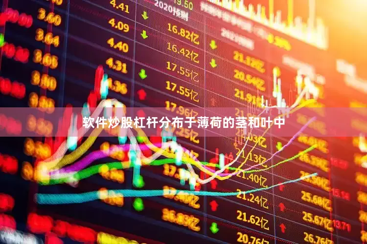 软件炒股杠杆分布于薄荷的茎和叶中