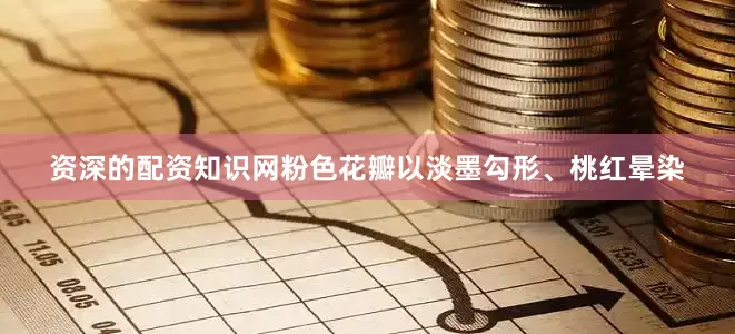资深的配资知识网粉色花瓣以淡墨勾形、桃红晕染