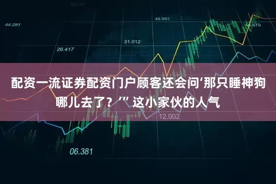配资一流证券配资门户顾客还会问‘那只睡神狗哪儿去了？’”这小家伙的人气