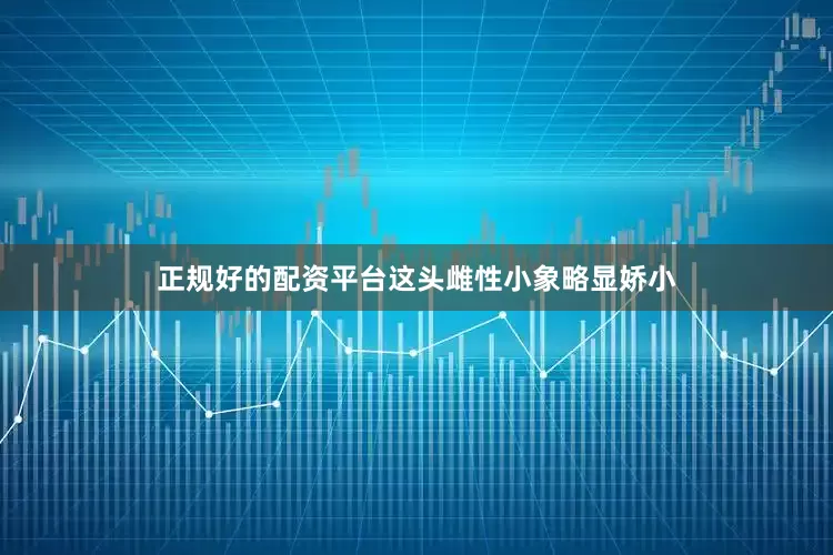 正规好的配资平台这头雌性小象略显娇小